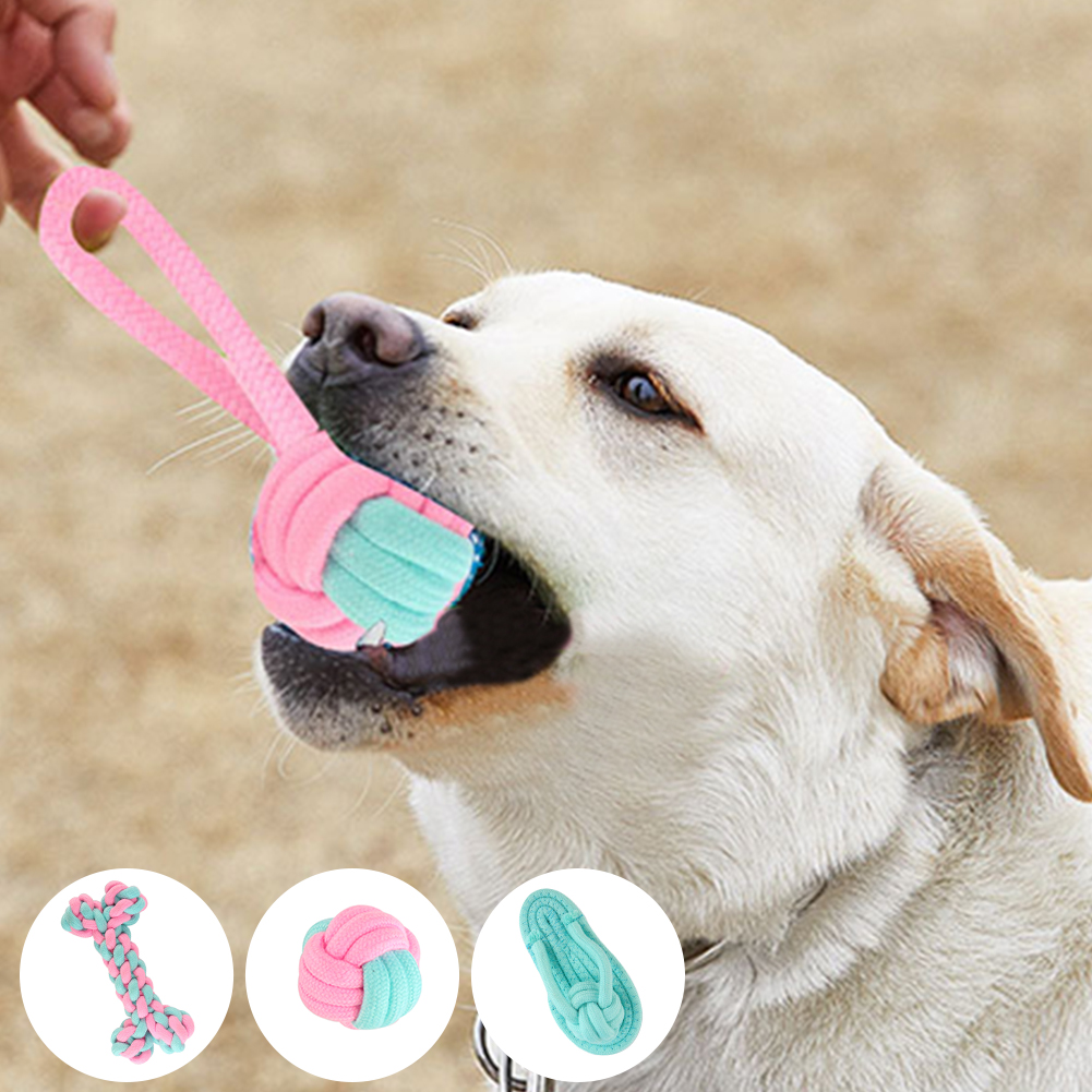 Best dog store teeth cleaning toys